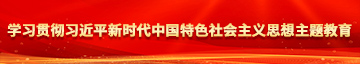 黄色小逼逼学习贯彻习近平新时代中国特色社会主义思想主题教育